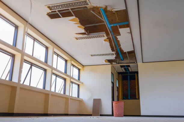 Best Flood restoration services  in Clayton, GA