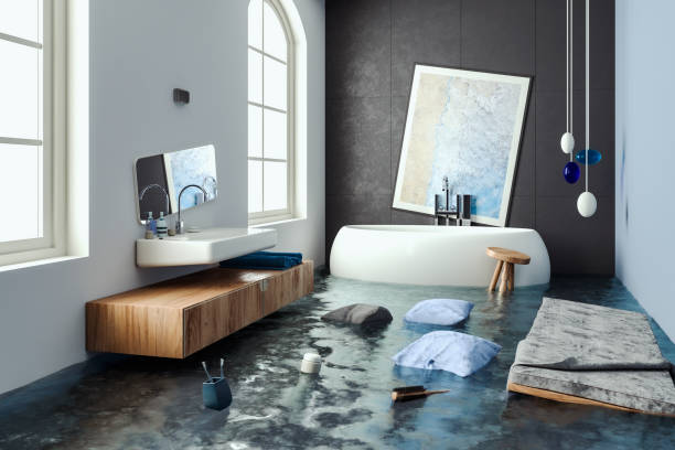 Best Flood restoration services  in Clayton, GA