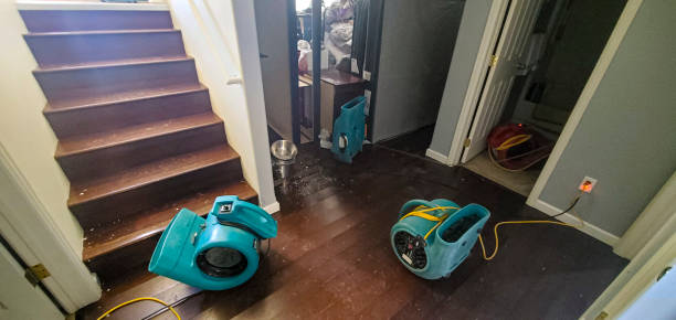 Best Water damage mitigation services  in Clayton, GA