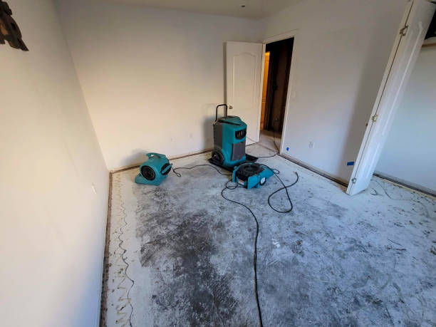 Best Basement water damage restoration  in Clayton, GA
