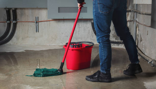Best Carpet water damage restoration  in Clayton, GA
