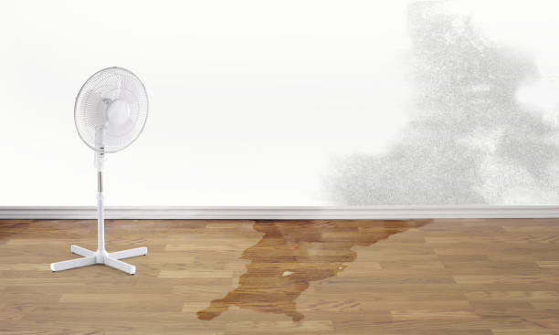 Best Water damage restoration experts  in Clayton, GA