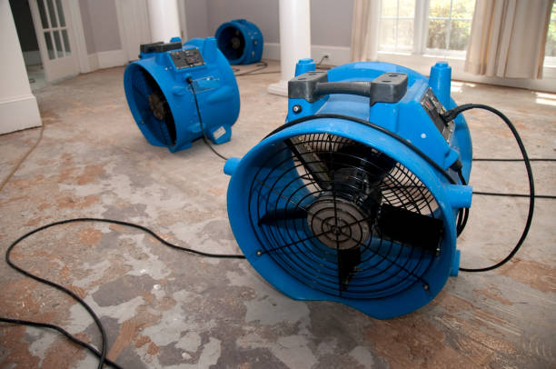 Best Residential water damage restoration  in Clayton, GA