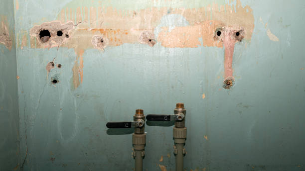 Best Flood damage cleanup  in Clayton, GA